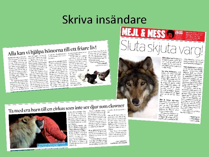 Skriva insändare 