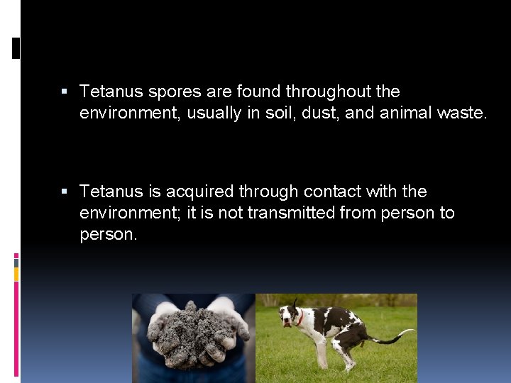 Causes Tetanus spores are found throughout the environment, usually in soil, dust, and animal
