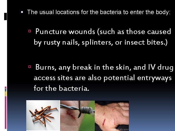  The usual locations for the bacteria to enter the body: Causes Puncture wounds