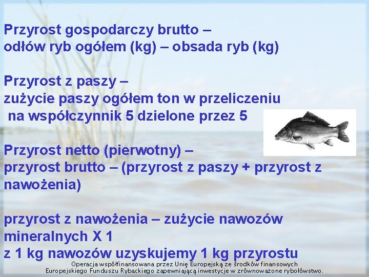 Przyrost gospodarczy brutto – odłów ryb ogółem (kg) – obsada ryb (kg) Przyrost z