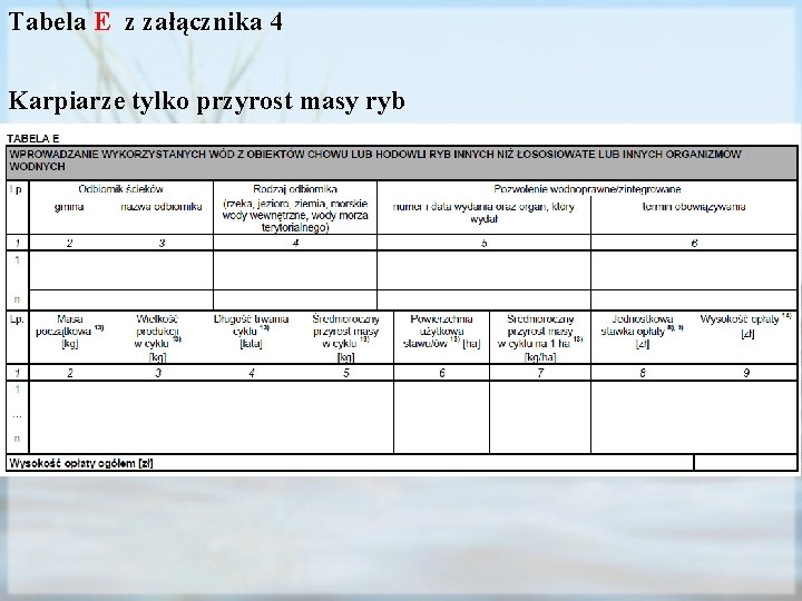 Tabela E z załącznika 4 Karpiarze tylko przyrost masy ryb 