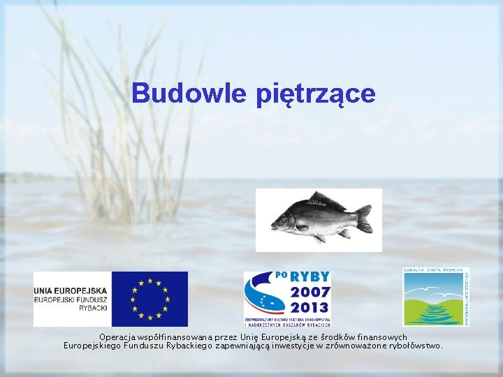 Budowle piętrzące Operacja współfinansowana przez Unię Europejską ze środków finansowych Europejskiego Funduszu Rybackiego zapewniającą