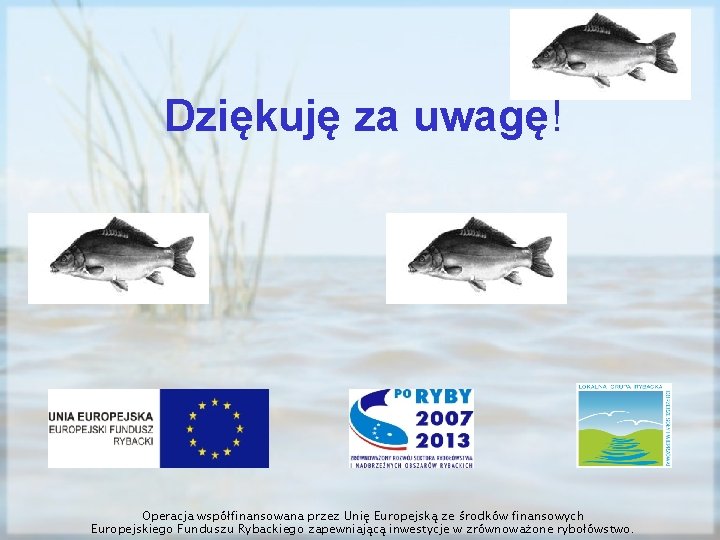 Dziękuję za uwagę! Operacja współfinansowana przez Unię Europejską ze środków finansowych Europejskiego Funduszu Rybackiego