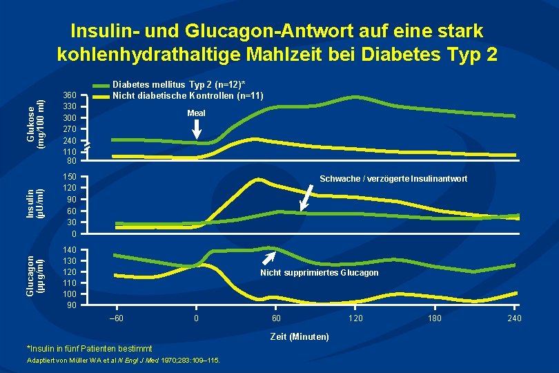 Glukose (mg/100 ml) 360 330 300 270 240 110 80 Insulin (µU/ml) 150 120