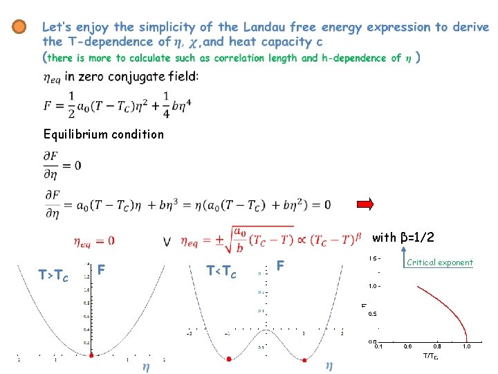  Equilibrium condition T>TC F with β=1/2 T<TC Critical exponent F 