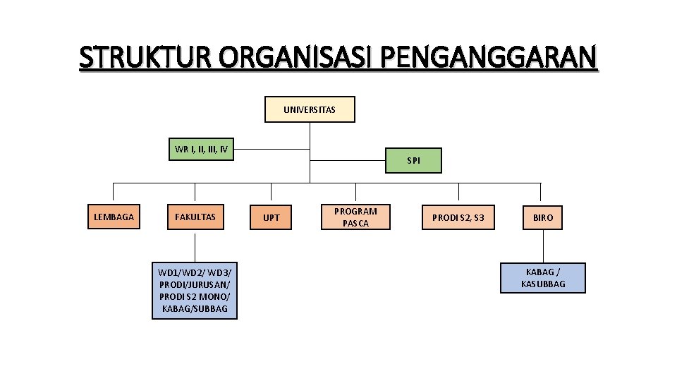 STRUKTUR ORGANISASI PENGANGGARAN UNIVERSITAS WR I, III, IV LEMBAGA FAKULTAS WD 1/WD 2/ WD