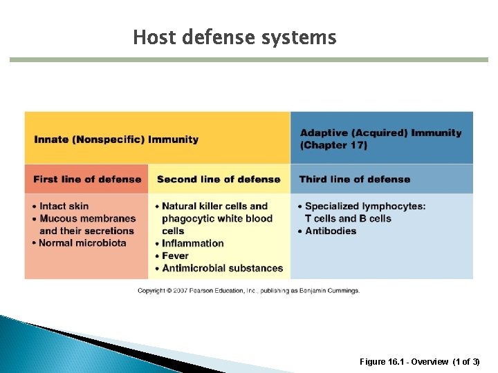 Host defense systems Figure 16. 1 - Overview (1 of 3) 
