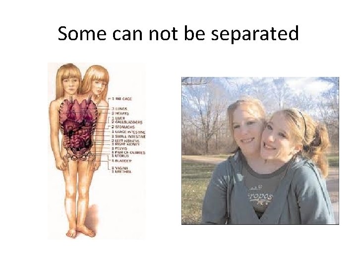 Some can not be separated 