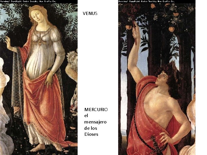 VENUS MERCURIO el mensajero de los Dioses 