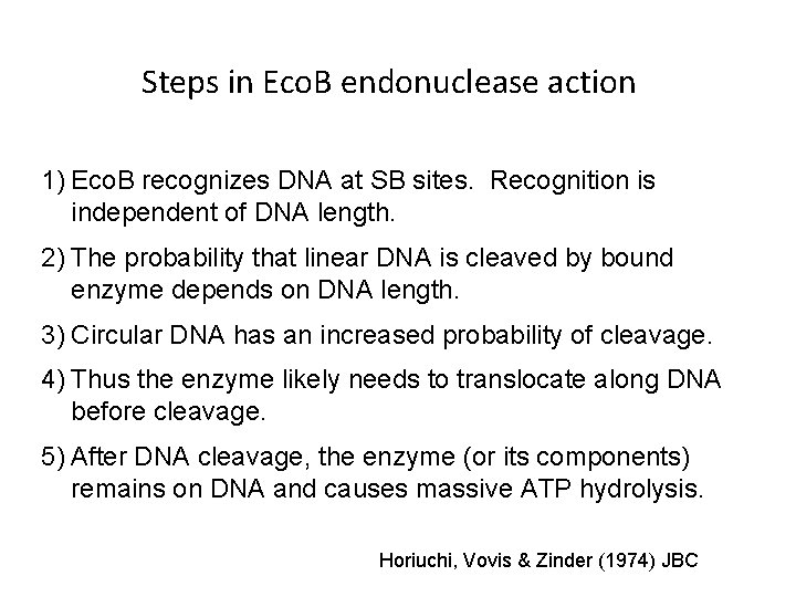 Steps in Eco. B endonuclease action 1) Eco. B recognizes DNA at SB sites.