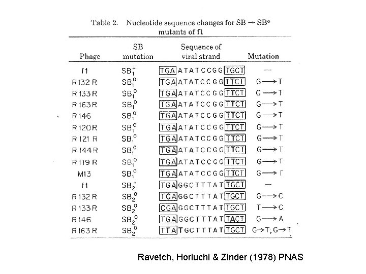 Ravetch, Horiuchi & Zinder (1978) PNAS 