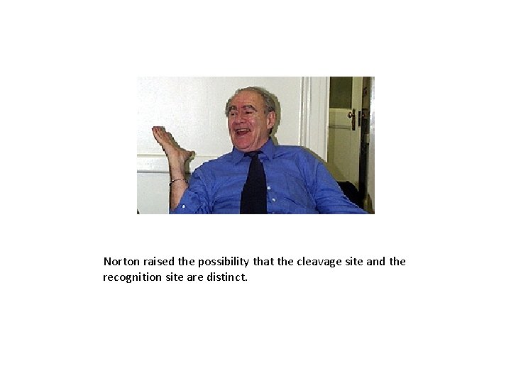 Norton raised the possibility that the cleavage site and the recognition site are distinct.