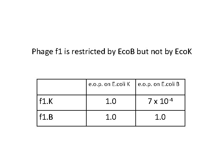 Phage f 1 is restricted by Eco. B but not by Eco. K e.