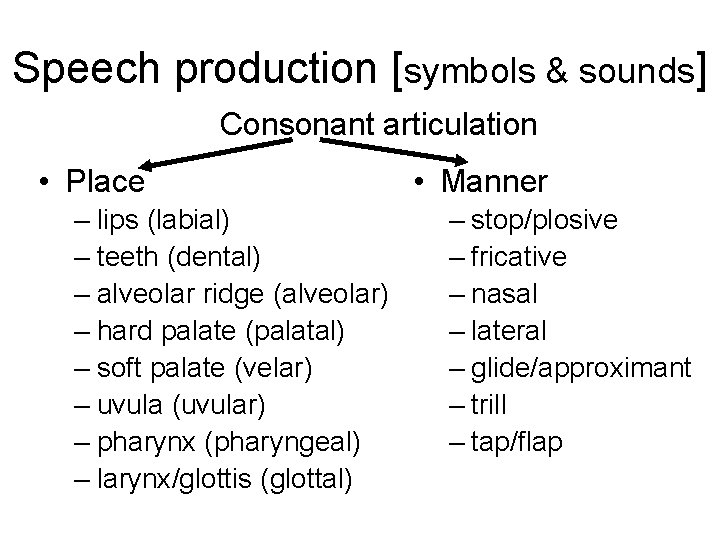 Speech production [symbols & sounds] Consonant articulation • Place – lips (labial) – teeth