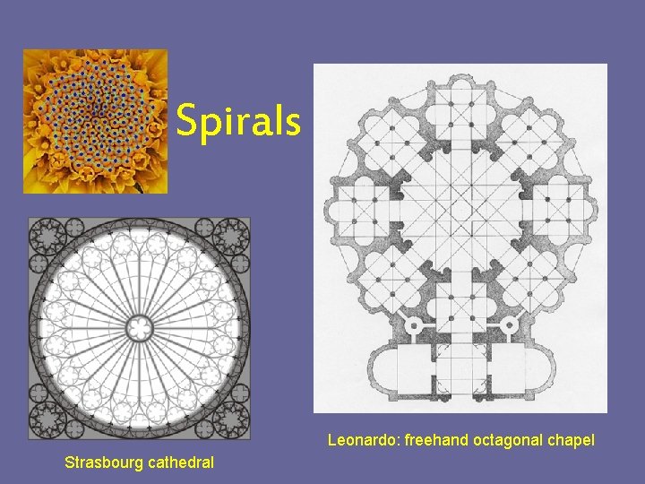 Spirals Leonardo: freehand octagonal chapel Strasbourg cathedral 