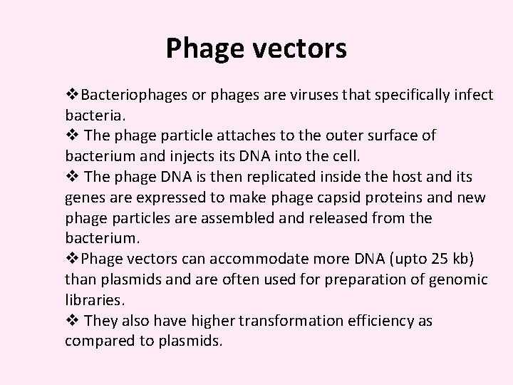 Phage vectors v. Bacteriophages or phages are viruses that specifically infect bacteria. v The