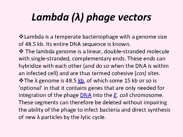 Lambda (λ) phage vectors v. Lambda is a temperate bacteriophage with a genome size