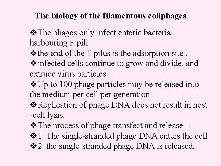 The biology of the filamentous coliphages v. The phages only infect enteric bacteria harbouring
