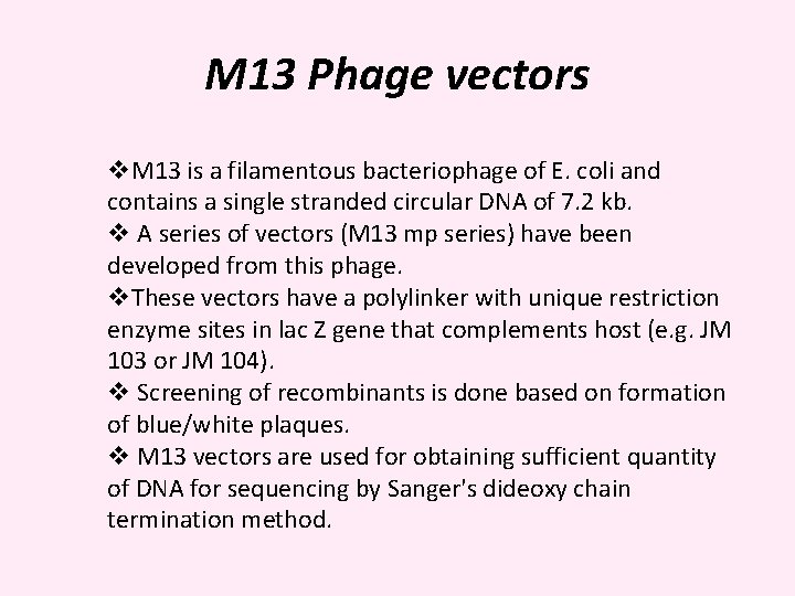 M 13 Phage vectors v. M 13 is a filamentous bacteriophage of E. coli