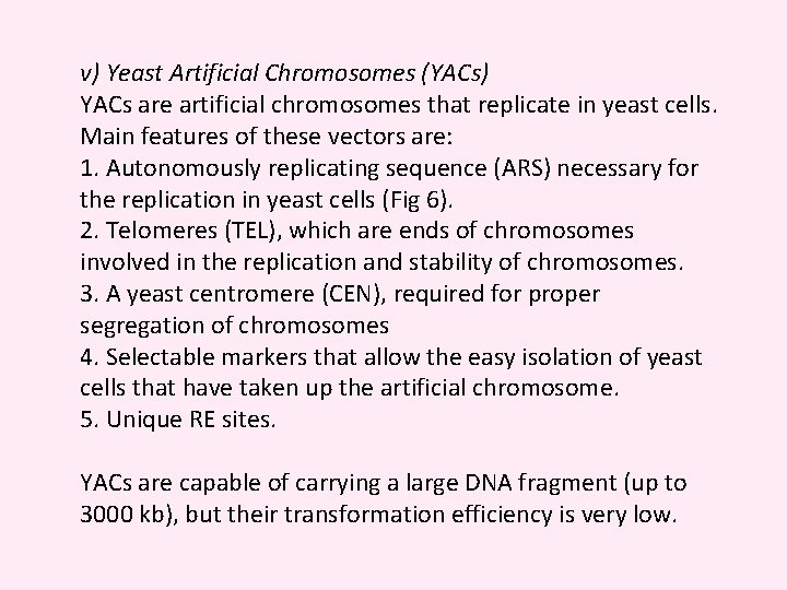 v) Yeast Artificial Chromosomes (YACs) YACs are artificial chromosomes that replicate in yeast cells.