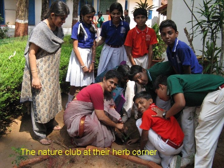 The nature club at their herb corner 