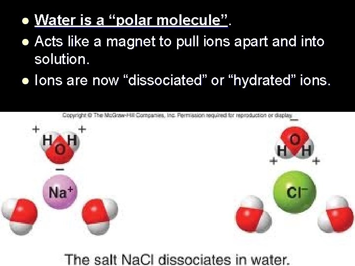 Water is a “polar molecule”. l Acts like a magnet to pull ions apart