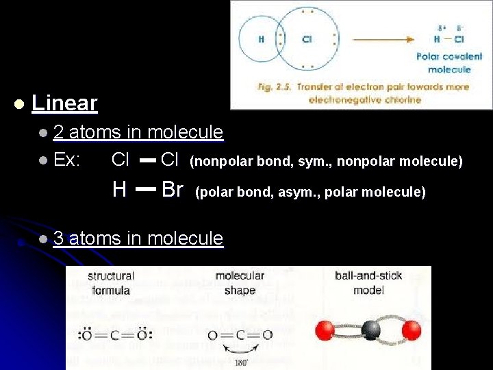 l Linear l 2 atoms in molecule l Ex: Cl Cl (nonpolar bond, sym.
