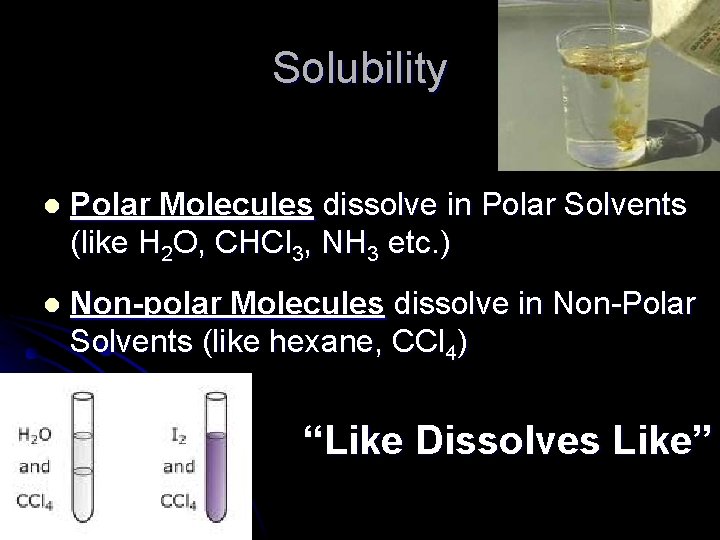 Solubility l Polar Molecules dissolve in Polar Solvents (like H 2 O, CHCl 3,
