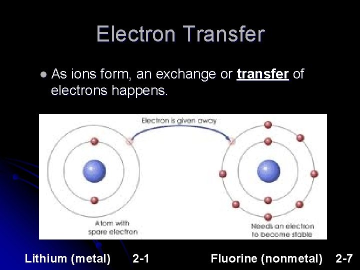 Electron Transfer l As ions form, an exchange or transfer of electrons happens. Lithium