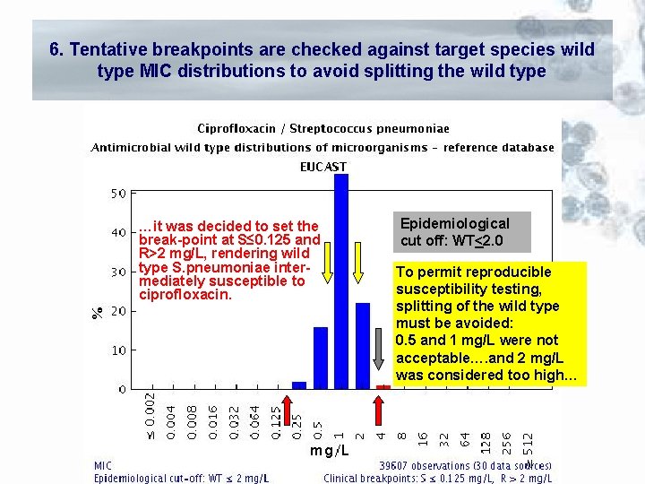 6. Tentative breakpoints are checked against target species wild type MIC distributions to avoid