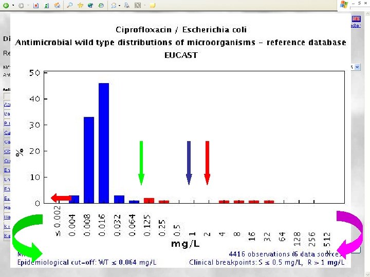 Specify the drug or the bug (never both) - after a moment a table