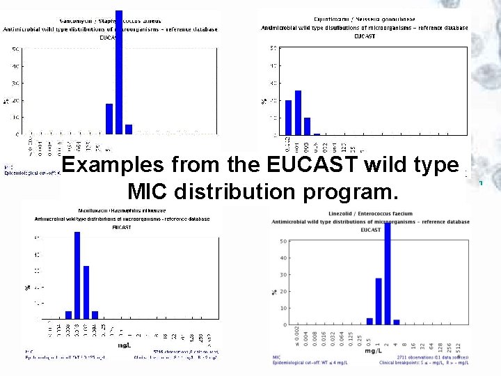 Examples from the EUCAST wild type MIC distribution program. 1 
