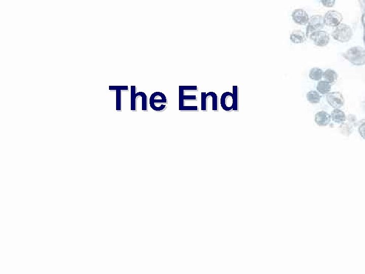 The End 