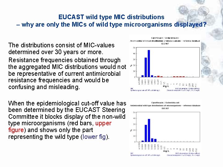 EUCAST wild type MIC distributions – why are only the MICs of wild type