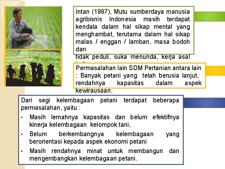 Intan (1997), Mutu sumberdaya manusia agribisnis Indonesia masih terdapat kendalam hal sikap mental yang