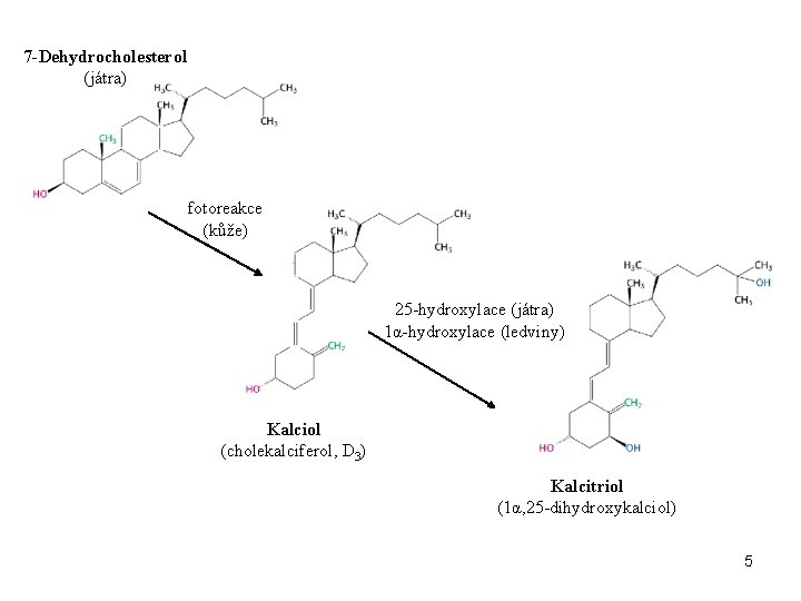 7 -Dehydrocholesterol (játra) fotoreakce (kůže) 25 -hydroxylace (játra) 1α-hydroxylace (ledviny) Kalciol (cholekalciferol, D 3)
