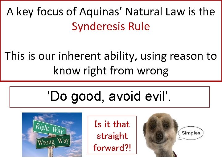 A key focus of Aquinas’ Natural Law is the Synderesis Rule This is our