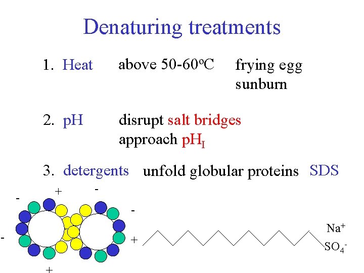 Denaturing treatments 1. Heat above 50 -60 o. C 2. p. H disrupt salt