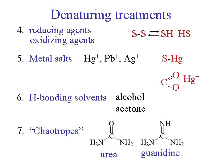 Denaturing treatments 4. reducing agents oxidizing agents 5. Metal salts S-S Hg+, Pb+, Ag+