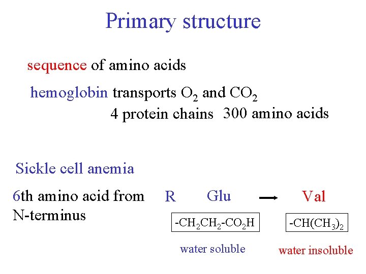 Primary structure sequence of amino acids hemoglobin transports O 2 and CO 2 4