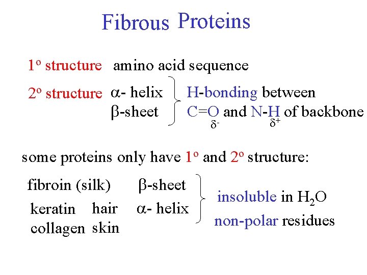 Fibrous Proteins 1 o structure amino acid sequence 2 o structure - helix -sheet