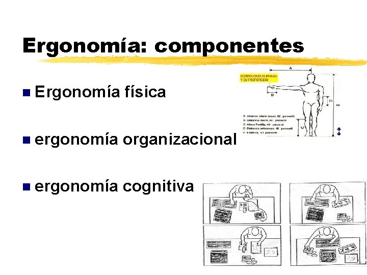 Ergonomía: componentes Ergonomía física ergonomía organizacional ergonomía cognitiva 