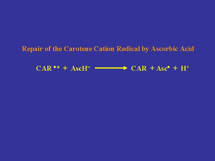 Repair of the Carotene Cation Radical by Ascorbic Acid CAR + Asc. H CAR