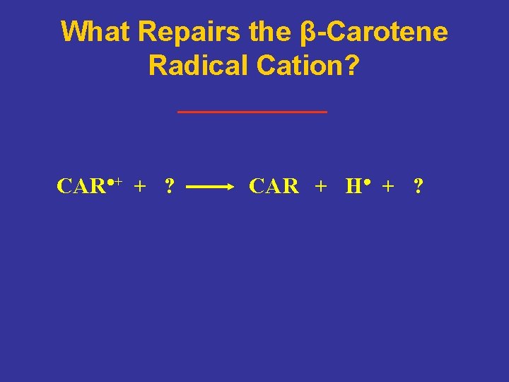 What Repairs the β-Carotene Radical Cation? CAR●+ + ? CAR + H● + ?