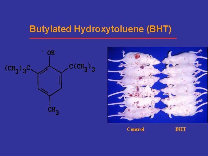 Butylated Hydroxytoluene (BHT) Control BHT 