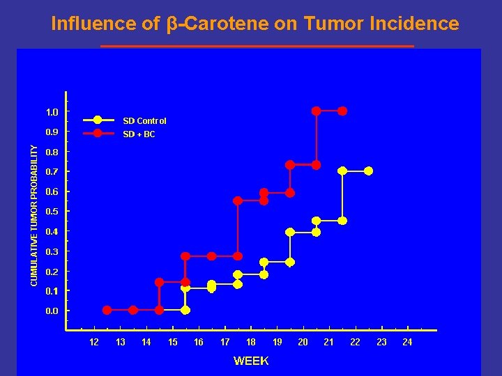 Influence of β-Carotene on Tumor Incidence 