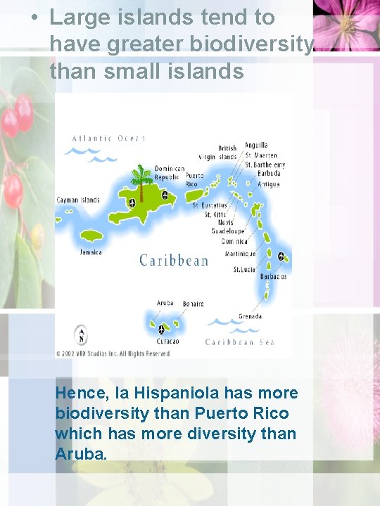  • Large islands tend to have greater biodiversity than small islands Hence, la