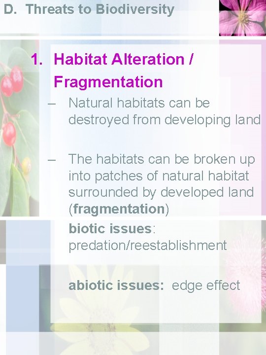D. Threats to Biodiversity 1. Habitat Alteration / Fragmentation – Natural habitats can be