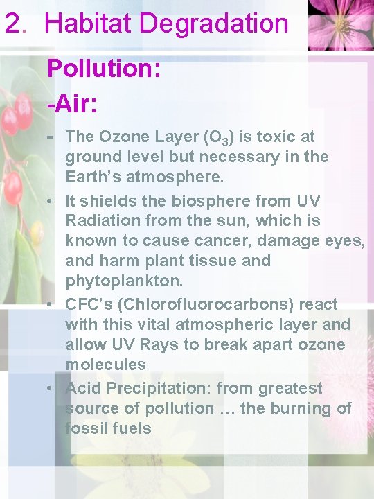 2. Habitat Degradation Pollution: -Air: - The Ozone Layer (O 3) is toxic at