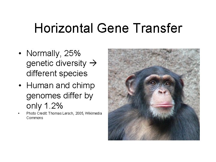 Horizontal Gene Transfer • Normally, 25% genetic diversity different species • Human and chimp